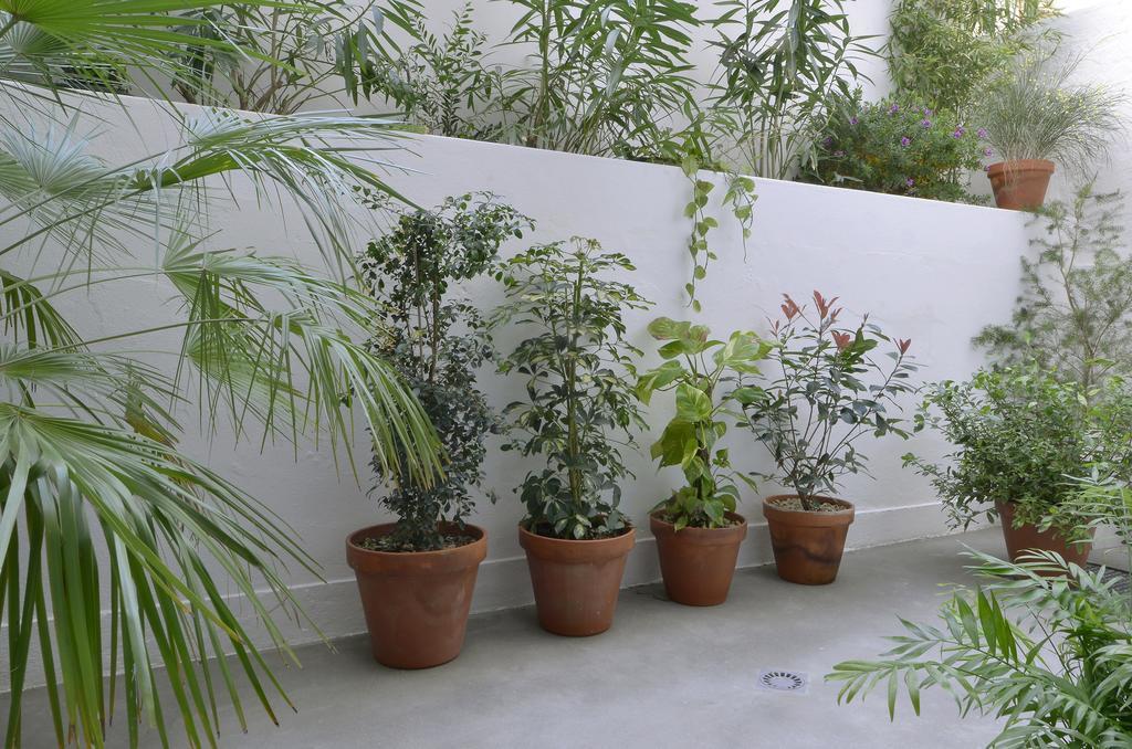 Art Gallery Apartment Lisboa Rom bilde